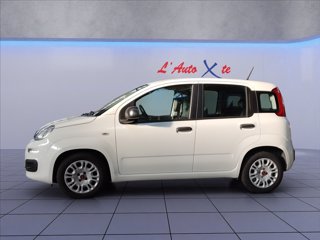 FIAT Panda 1.0 hybrid Easy s&s 70cv