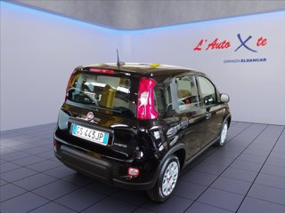 FIAT Panda 1.0 firefly hybrid s&s 70cv
