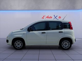 FIAT Panda 1.2 Easy 69cv