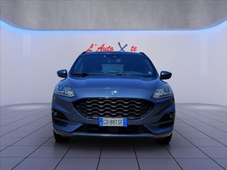 FORD Kuga 2.5 full hybrid ST-Line 2wd 190cv cvt
