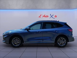 FORD Kuga 2.5 full hybrid ST-Line 2wd 190cv cvt