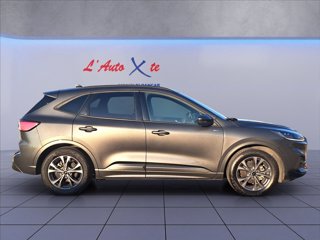 FORD Kuga 2.5 full hybrid ST-Line 2wd 190cv cvt