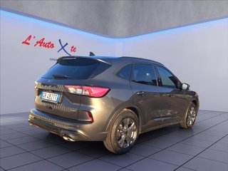 FORD Kuga 2.5 full hybrid ST-Line 2wd 190cv cvt